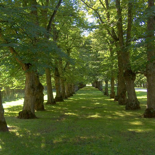 Ancienne avenue de l'église de l'ancien Vaasa