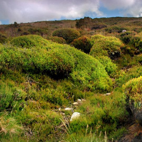 Hawthornthwaite Fell