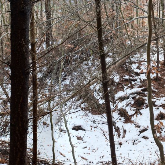 Burgstall Hohenlinden