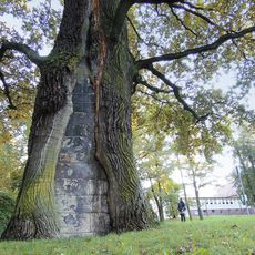 Platnersberg (Nuremberg-Erlenstegen)