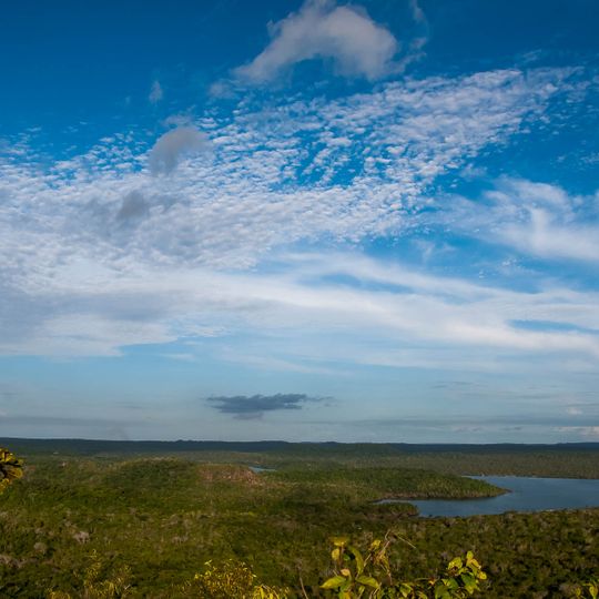 Forêt nationale de Tapajós
