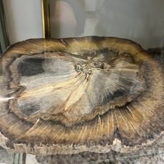 Museo di Storia Naturale Don Bosco