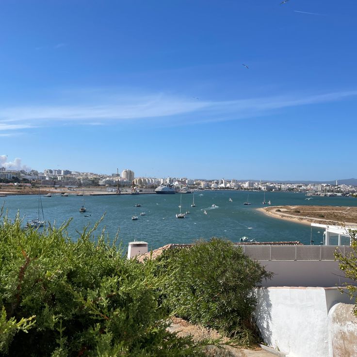Mirador