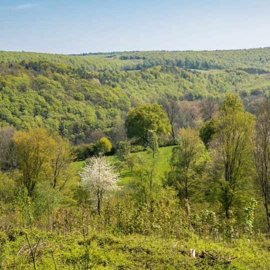 Rotenberg, Bärenkopf, Habichtsberg und Wihupsberg