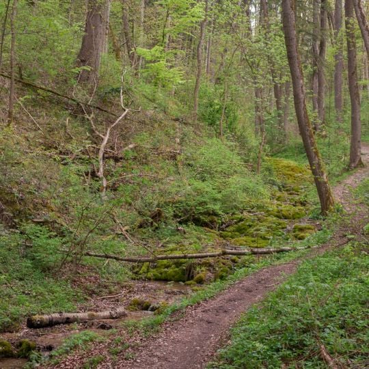 Rachental NE von Berching