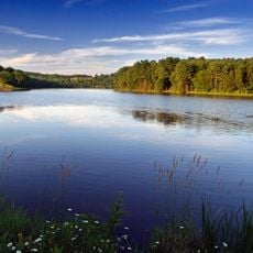 Mt. Pisgah State Park