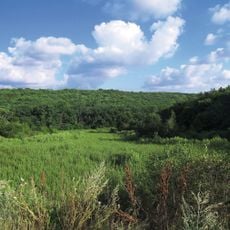 Komisarivskyi Reserve