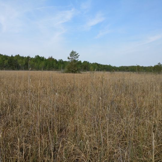 Apšuciema zāļu purvs