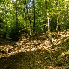 Iron age tumulus group
