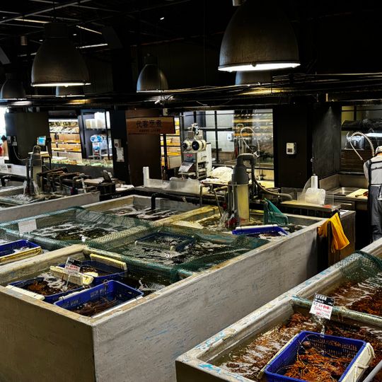 Addiction Aquatic Development