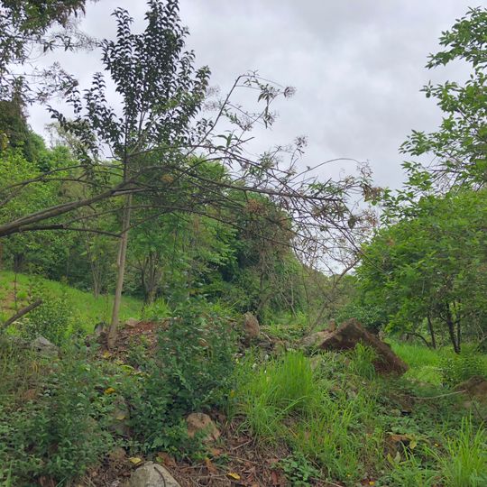 Capela do Bom Jesus do Horto