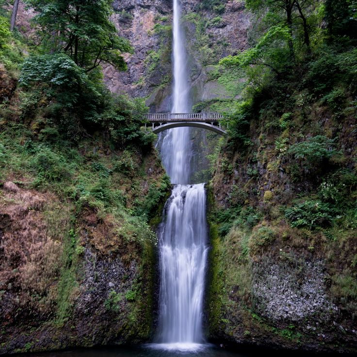 Chutes Multnomah