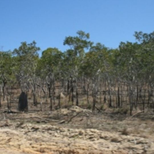 Juunju Daarrba Nhirrpan National Park