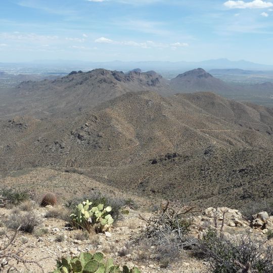 Saguaro Wilderness