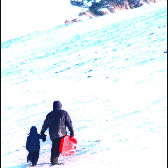 Prince Gallitzin State Park