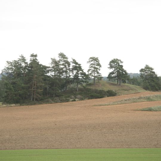 Ptáčovský kopeček