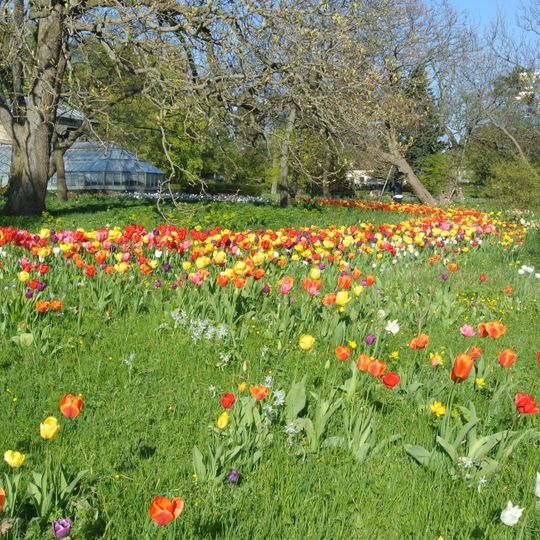 Botaniska trädgården