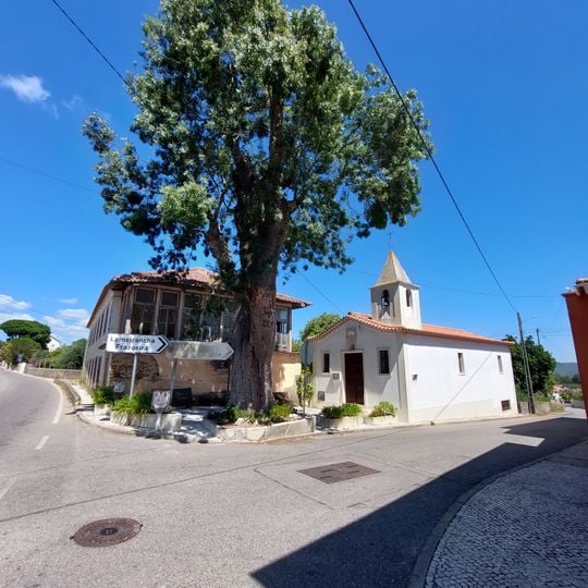 Árvore isolada em Carril - Adro da Ermida de S. Sebastião