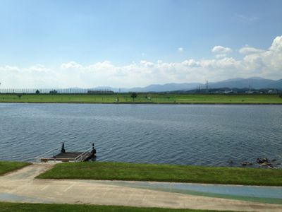 The view 2