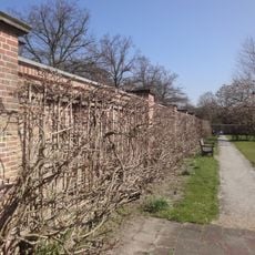Te Werve: tuinmuur aan de oostzijde van de moestuin en aan weerszijden van de oranjerie