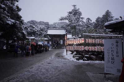 Winter 2
