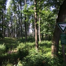 Kreideberg bei Ellerode