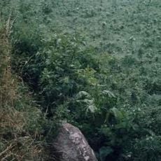 Milestone, Station Road, 130yds S of jct with White Cross Lane