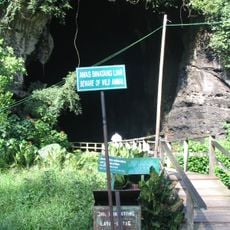 Gomantong Caves