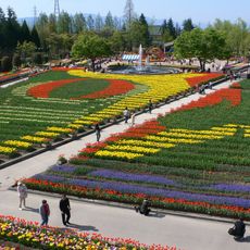 Tonami Tulip Park