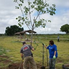 Cottonwood Day Use Area