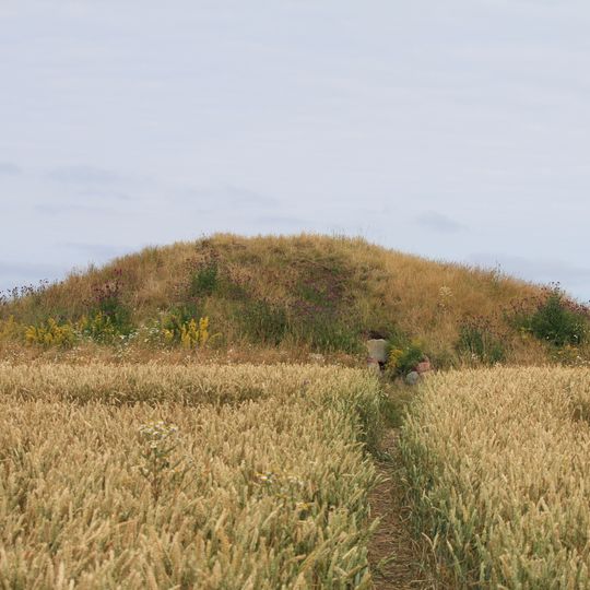 Örenäsgånggriften