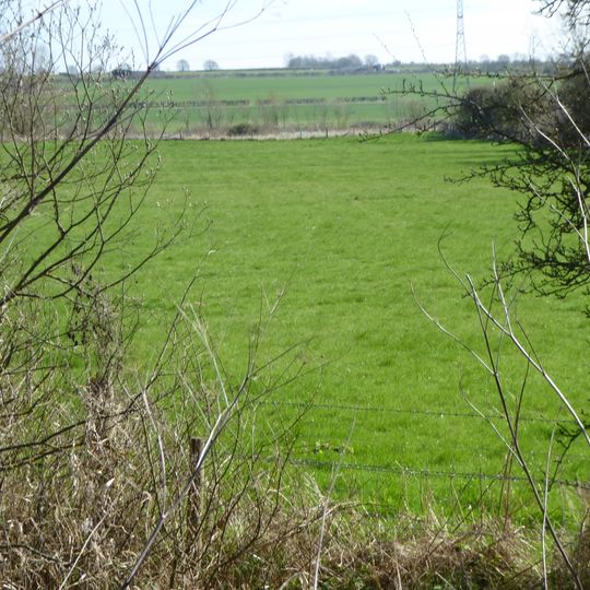 Wollaston Meadows