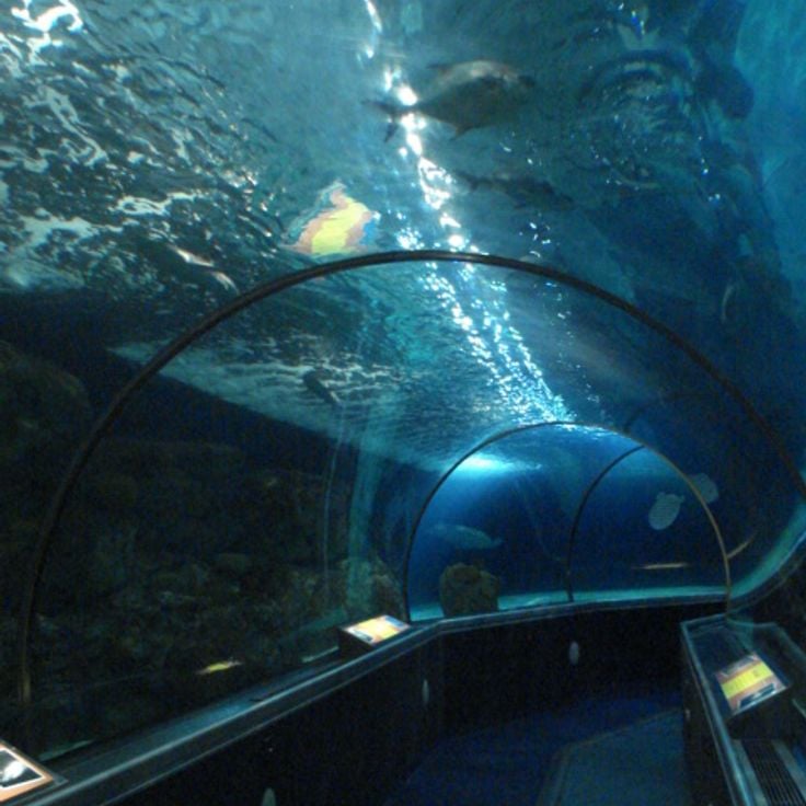 SEA LIFE Minnesota Aquarium