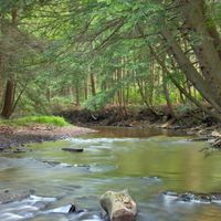 Municipio de Sheffield (condado de Warren, Pensilvania)
