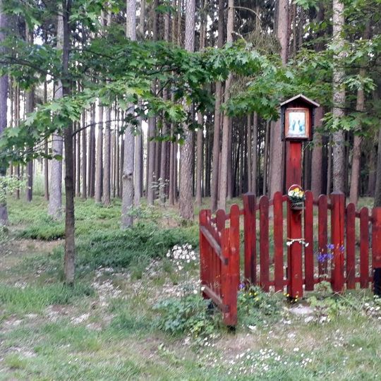 Obrázek v lese západně od Týna nad Vltavou