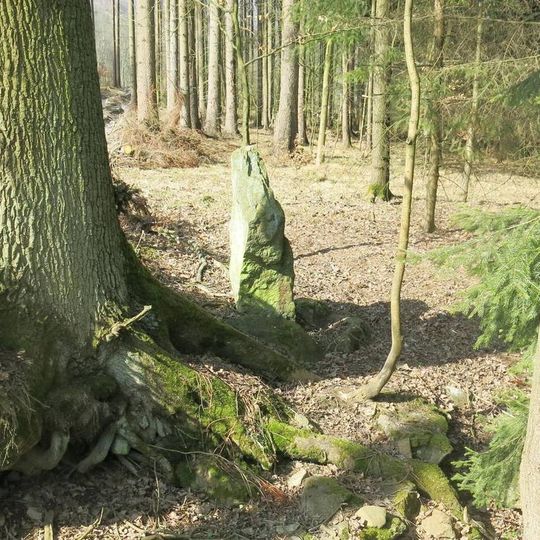 Jivinský menhir u lesní cesty jižně od Homole u Panny