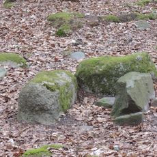 Steinkiste Hohes Holz