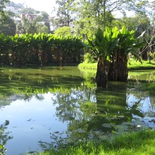 Botanical and Zoological Garden of Tsimbazaza