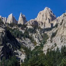 Bosque nacional de Inyo