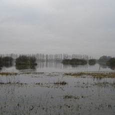 Marais de Goulaine