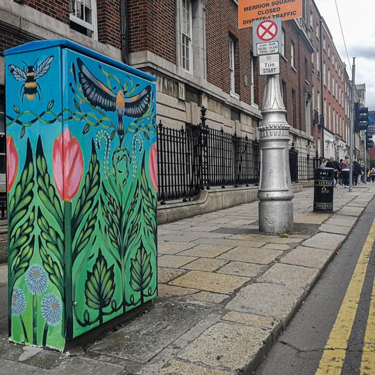 The Birds and the Bees