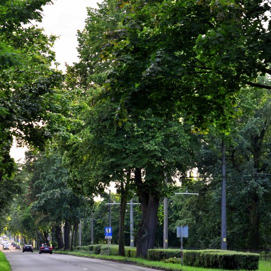 Walczaka Street in Gorzów Wielkopolski