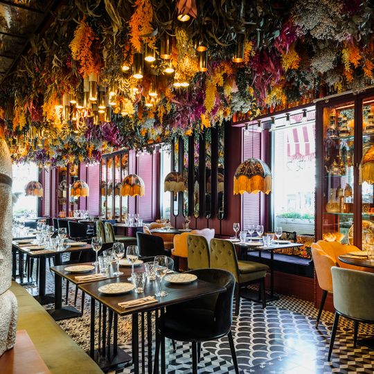 Udaipur Indian Cuisine