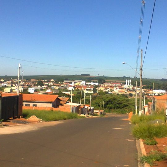 Conchal