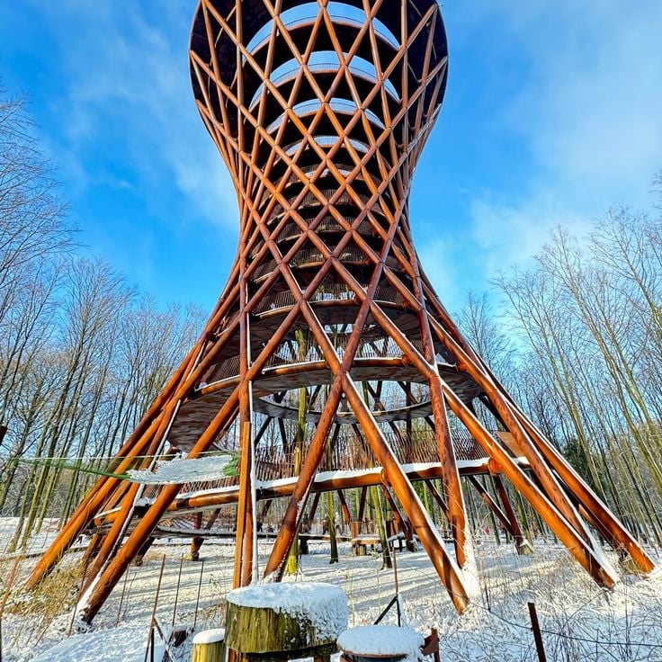 Turmbaum