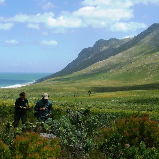 Kogelberg Nature Reserve