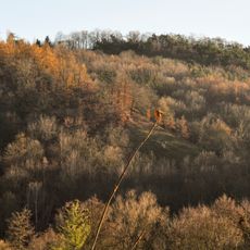 Zlatnice (přírodní památka)