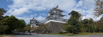 Panoramic View 4