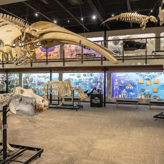 Museum of Osteology