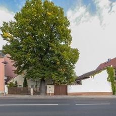 Coswig Hauptstraße 50